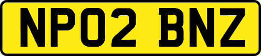 NP02BNZ