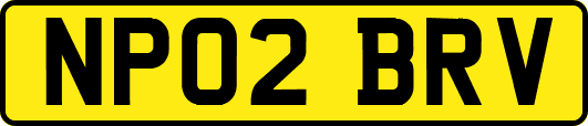 NP02BRV