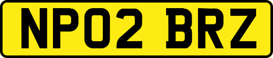 NP02BRZ