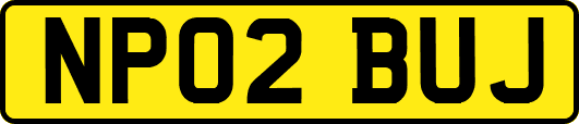 NP02BUJ