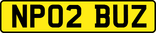 NP02BUZ
