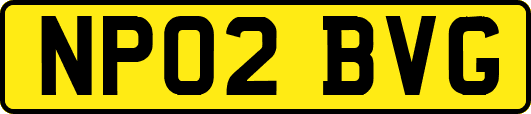 NP02BVG