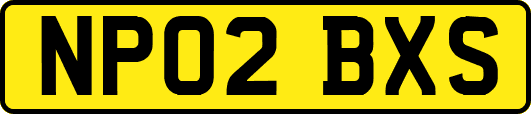 NP02BXS