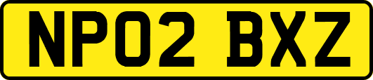NP02BXZ