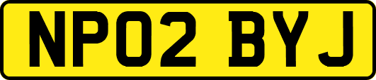 NP02BYJ