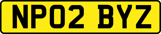 NP02BYZ