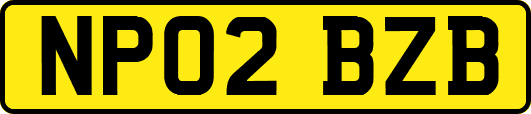 NP02BZB