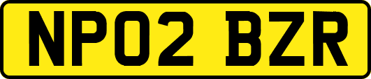NP02BZR