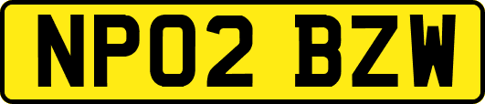 NP02BZW