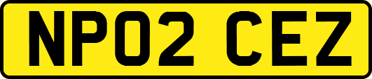 NP02CEZ