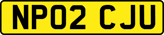NP02CJU