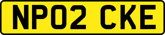 NP02CKE