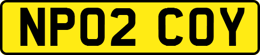 NP02COY