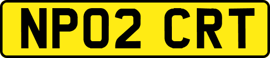 NP02CRT