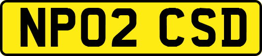 NP02CSD