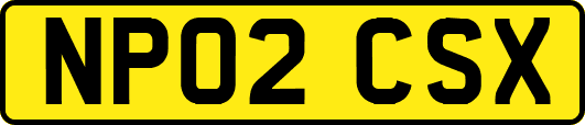 NP02CSX