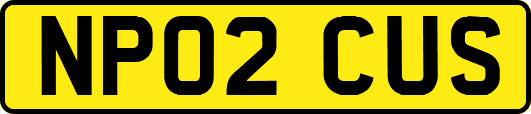 NP02CUS