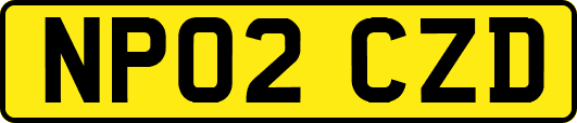 NP02CZD