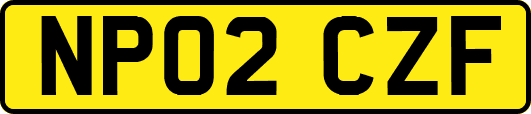 NP02CZF
