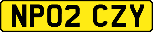 NP02CZY