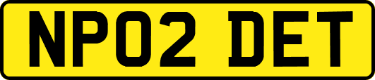 NP02DET