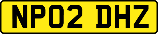 NP02DHZ