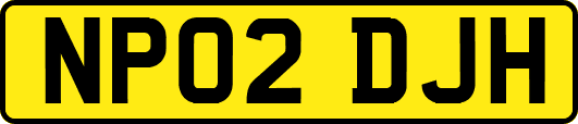 NP02DJH