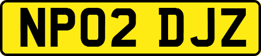 NP02DJZ