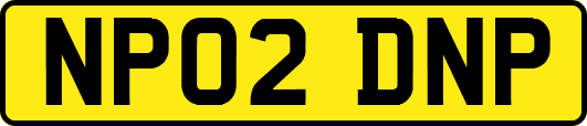 NP02DNP