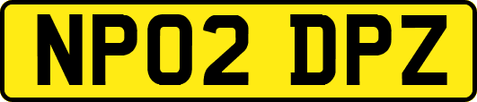 NP02DPZ