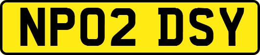 NP02DSY