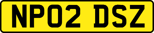 NP02DSZ