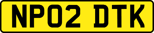 NP02DTK