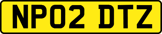 NP02DTZ