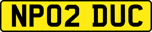 NP02DUC