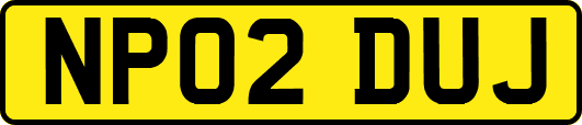 NP02DUJ
