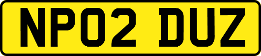 NP02DUZ