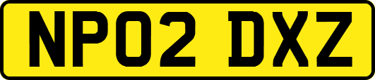 NP02DXZ