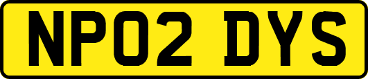 NP02DYS