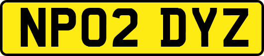 NP02DYZ