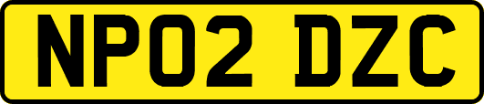NP02DZC