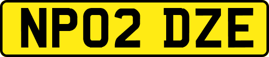 NP02DZE