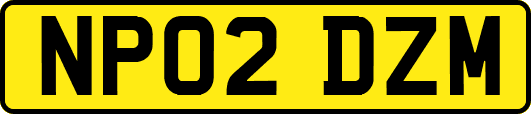 NP02DZM
