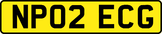 NP02ECG