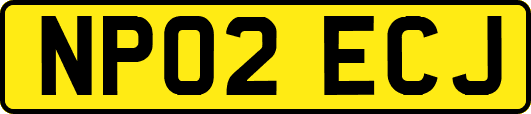 NP02ECJ
