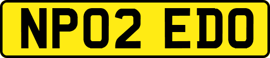 NP02EDO