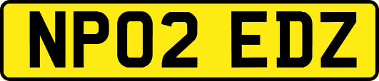 NP02EDZ