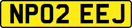 NP02EEJ