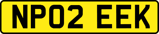 NP02EEK