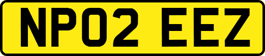 NP02EEZ